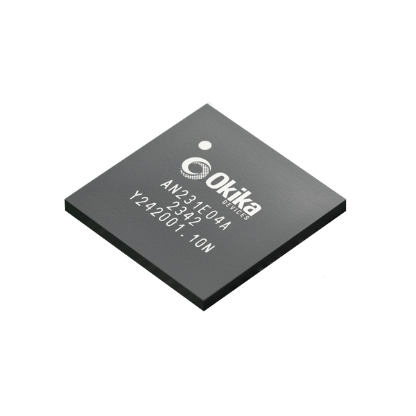 AN231E04 Dynamically reconfigurable FPAA chip with 4 CABs